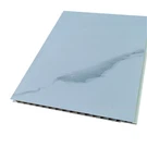250mm*5mm 100% Waterproof PVC Ceiling