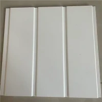 Indoor Ceiling Panels Interior