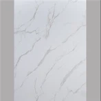 Water Proof PVC Wall Shower Sheet